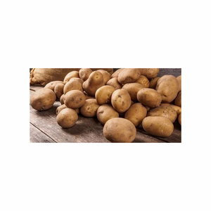 Papas Fritas y Patatas Fritas Frescas Brasileñas Orgánicas de Alta Calidad Grado A Exportadas Saludables - Product Image 2