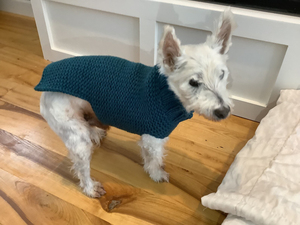 เสื้อสเวตเตอร์สุนัขลายเรียบหรู สไตล์คลาสสิก ทันสมัย สำหรับฤดูหนาว พร้อมคู่มือถักแบบง่ายสำหรับมือใหม่ ภาพประกอบทีละขั้นตอน ดีไซน์หรูหรา - Product Image 3