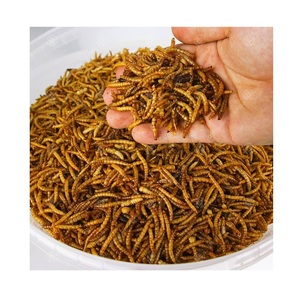 Fabricante profesional de gusanos de harina, gusanos de harina ecológicos frescos, alimento para aves y peces, gusanos de harina secos. - Product Image 4