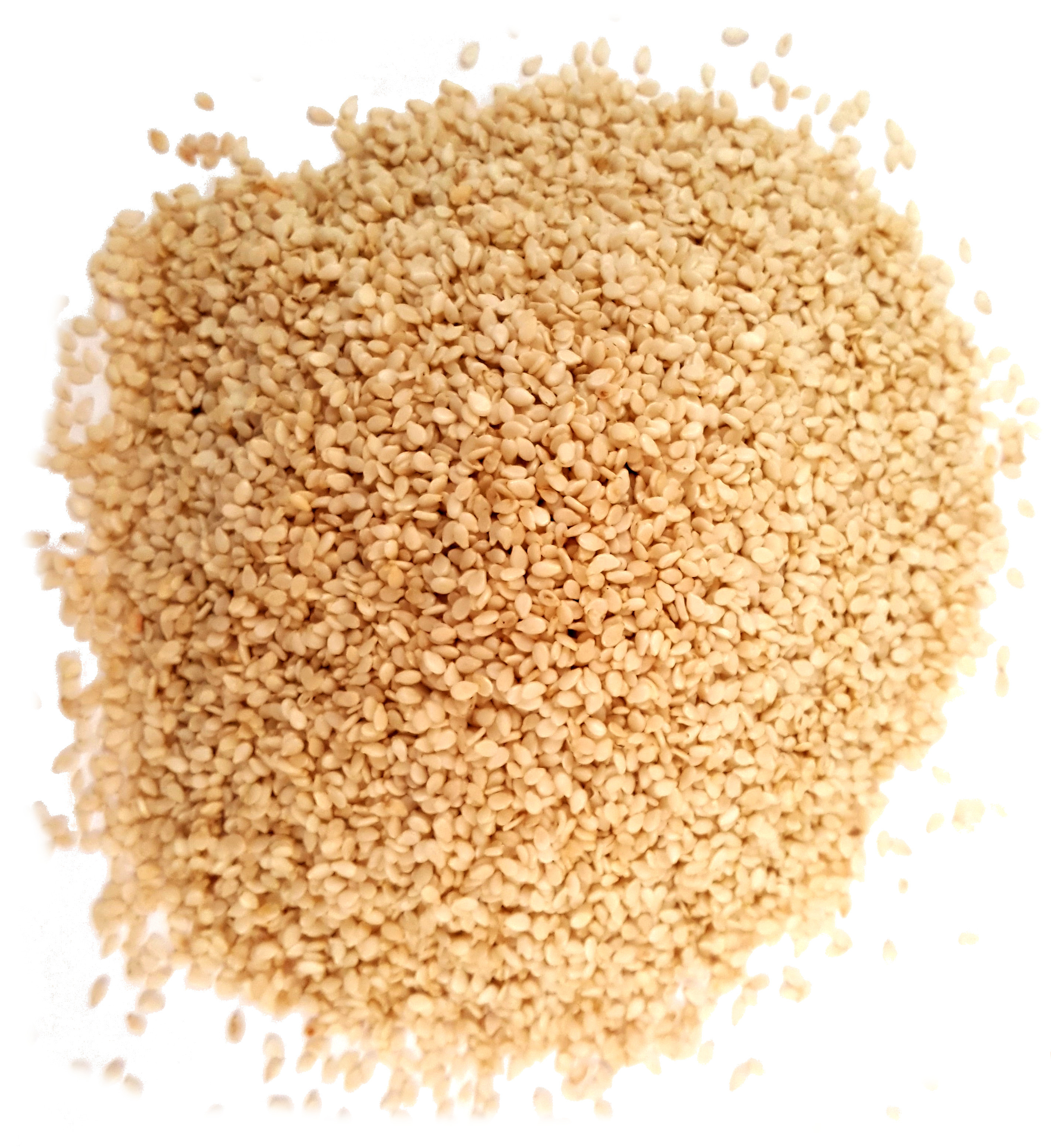 White Sesame New Crop Hulled Sesame Seeds Customized Packing Reasonable Price Sesame Seeds OEM Service