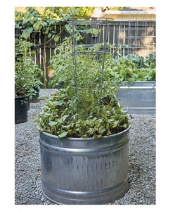 Venta caliente Metal Iron Pot Macter French Vintage Galvanizado Farmhouse Yard Rústico Garden Flower Bucket - Product Image 6