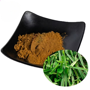 Fourniture OEM de poudre d'extrait de Cissus Quadrangularis de haute qualité 20:1 suppléments biologiques de qualité alimentaire dans un emballage en pot Mason - Product Image 1