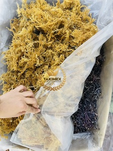 Seamoss | seamos seamos สีขาวแห้งถูกส่งออกจากผู้ผลิตในเวียดนาม - Product Image 6