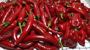 พริกป่นพร้อมก้าน พริกดิบอบแห้ง กระบวนการอบแห้งแบบ AD เกรด 1 กลุ่มสมุนไพร - Product Image 2