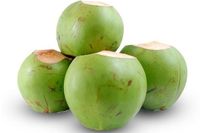 Groene Kokosnoot-Verse Jonge Brix 7 - 9 Hoogwaardige Oorsprong Ben Tre Viet Nam Exportproducten 100% Natuurlijke Zoete Kokosnoot
