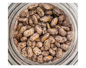 Haricots Pinto Séchés de Haute Qualité – Meilleur Prix, Vente Chaude – Haricots Noirs Mouchetés pour la Cuisine – Haricots Naturels et Purs - Product Image 5