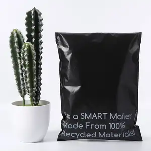 Bolsas de plástico biodegradable para correo postal, bolsa de poliéster personalizable de buena calidad
