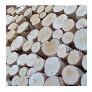 Troncos de madera de abedul de grado industrial-Gran cantidad disponible - Product Image 6