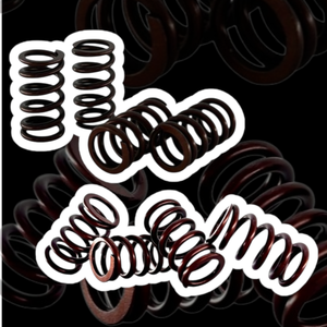 Mise à niveau du moteur KAO Cygnus, ressort de soupape haute température en acier inoxydable, placement avant, rétrofit - Product Image 1