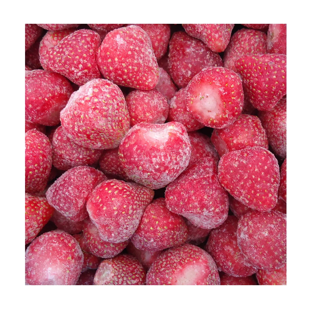 High quality IQF 10 kg frozen fruits and berries from Uzbekistan IQF Frozen Strawberry in carton boxes for food