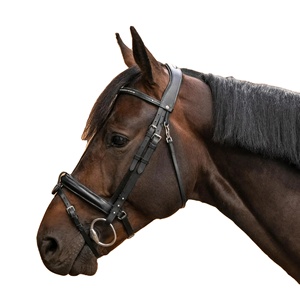 <b>Padded</b> Non-Slip PVC Noseband for Riding <b>Smartly</b> Fitted Horse and Leather French Bridle with Black Rhinestone - Product Image 1