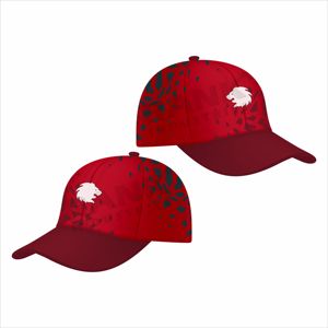 Casquettes de sport de qualité supérieure, étiquette privée, logo personnalisé, casquettes de sport élégantes, casquettes de sport en polyester et coton - Product Image 3