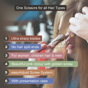 Vente en gros bon marché Ciseaux de coiffeur de couleur personnalisée Lames en acier inoxydable à pointe pointue - Product Image 5