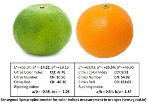 Mesure précise de la couleur de Muesli de casse-croûte de spectrophotomètre de colorimètre électronique de laboratoire de chasseur OEM de garantie de 1 an disponible - Product Image 2