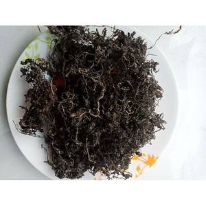 Algues Sargassum 100% Biologiques, Alginate d'Algues Assaisonné, Extraction de Seamoss, Sac Ad, Fournisseur Vietnamien Garanti, Contact WA - Product Image 5