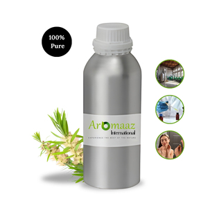 Aromaaz International Aceite Esencial Puro de Niaouli, Extracto Natural de Hoja, Hidratante y Antiarrugas, Nutritivo para el Cuidado de la Piel y el Cabello - Product Image 3