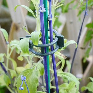 Clips de Support de plante de jardin en plastique - Product Image 4