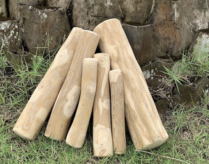 Experimente el mejor CAFÉ MADERA MASTICABLE de alta calidad seguro y exclusivamente de BLUE LOTUS VIETNAM - Product Image 2