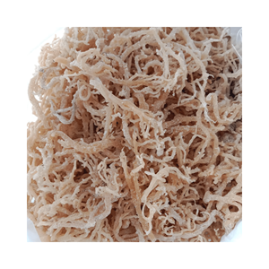 มอสทะเลอบแห้งแบบธรรมชาติมอสจากเวียดนามสำหรับสกัดเจลขนมมอส/สาหร่าย Eucheuma cottonii - Product Image 5