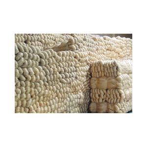 Fibre de jute brut blanc naturel de haute qualité anti-bactéries écologiques cultivées au Bangladesh vente en gros de jute bon marché d'exportation mondiale - Product Image 3