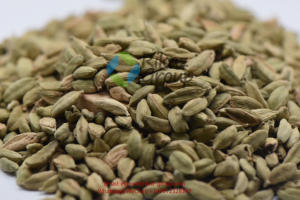 กระวานออร์แกนิคสีเขียวส่งตรงจากต้นแทนซาเนียเพื่อการเกษตร - Product Image 5