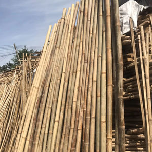 POLOS DE BAMBÚ DE VIETNAM DE ALTA CALIDAD PARA LA CONSTRUCCIÓN MUEBLES DE JARDÍN MATERIALES NATURALES ECOLÓGICOS SOSTENIBLES - Product Image 5