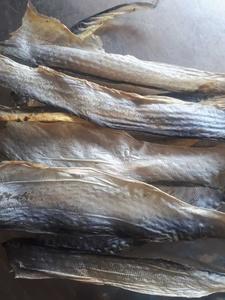 Peau de poisson basa séchée - Product Image 5