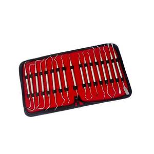 Kit de 17 Piezas de Instrumentos Quirúrgicos para Elevación de Senos Paranasales, Implantes Dentales, Odontología, Acero Inoxidable, Profesional, Duradero y Ecológico - Product Image 6