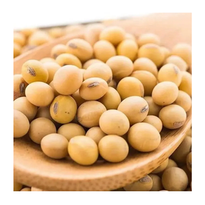 High Quality Organic Dried Bulk New Crop <b>Soybeans</b> Best Grade Certified - Product Image 6