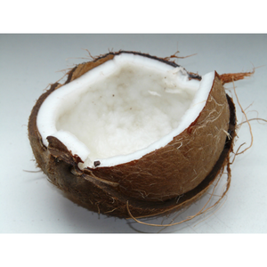 มะพร้าวแห้งสำหรับธุรกิจการเกษตร - Product Image 4