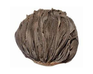 Omasum de boeuf salé congelé/abats de boeuf Omasum de boeuf salé séché prêt pour l'exportation - Product Image 5
