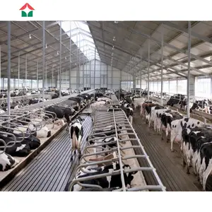 Granja de ganado de vaca de fábrica China, granja de aves de corral, estructura de acero, diseño de cobertizo de dibujo