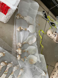 2025 La mejor calidad 100% Shell Craft y cuchara de concha marina con mango pulido Diseño único para gran oferta como regalo - Product Image 2