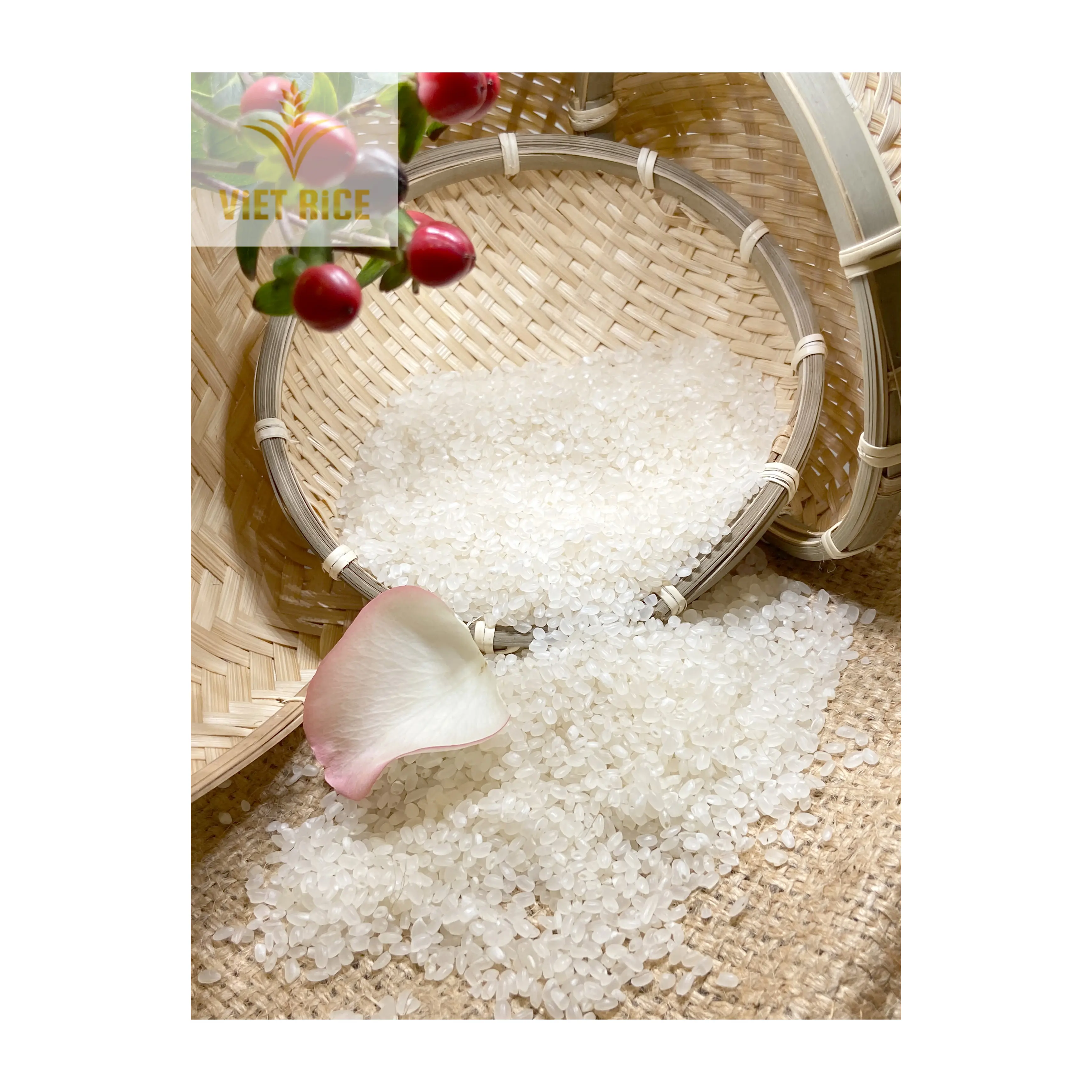 Vietnam pirinci-JAPONICA 5% kırık kısa tahıl, yüksek kaliteli kokulu pirinç pirinç fabrikasından geliyor