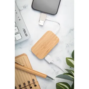 Holbaru Bamboo <b>USB</b> <b>Hub</b> Eco-Friendly Desk Set with Gadgets - Product Image 4