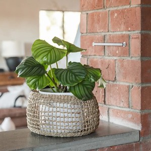 Wholesale Set 3 of Round Handmade Woven Wicker Seagrass <b>Storage</b> <b>Basket</b> Decorative <b>Basket</b> - Product Image 2