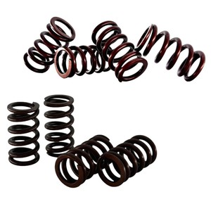 Ressort hélicoïdal de moto en acier inoxydable haute performance pour KAO Cygnus avec soupape à lamelles incluse - Product Image 1