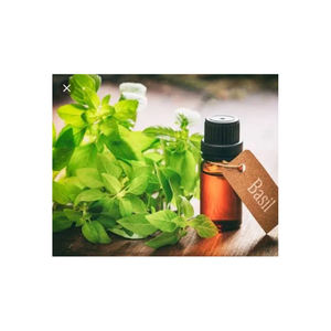 Marque privée Pure Natural 100% Pure Huile essentielle de basilic en stock Ensemble d'huiles essentielles au meilleur prix - Product Image 1
