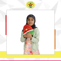 Vente à l'échelle mondiale de jouets islamiques de qualité supérieure 20cm oreiller en peluche en forme de fruit de pastèque pour les cadeaux de l'Aïd et du Ramadan au prix de gros