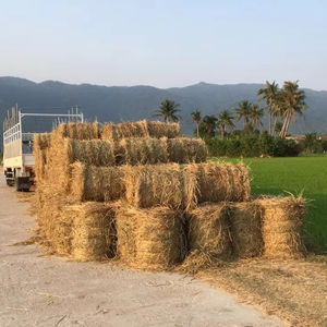 Rouleaux de paille vietnamiens de qualité supérieure Solution durable et écologique pour diverses applications - Product Image 2