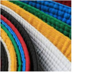 Cinturón Unisex Personalizado de Taekwondo y BJJ, Cinturón Bordado de Artes Marciales, Taekwondo, Karate para Entrenamiento de Artes Marciales, - Product Image 3