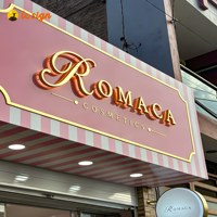 Lettres rétroéclairées en acier inoxydable doré personnalisées, lettres en relief 3D avec halo lumineux, enseigne de magasin éclairée par LED, logo lumineux pour entreprise