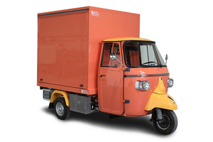 Motocyclette à trois roues à carrosserie fermée orange, capacité de charge de 200-300 kg, vitesse de 30-50 km/h, marche arrière, utilisation pour passagers, 3 passagers, marque TVS - Product Image 2