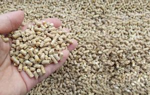 Granulés de bois, biocarburants, sciure de bois de pin, combustible de cuisson. - Product Image 5