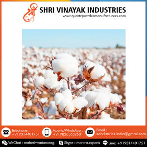 Meilleure fourniture, coton brut naturel indien pur de bonne qualité au dernier prix réduit sur la commande en gros - Product Image 6