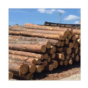 Tuyệt vời Nguồn cung cấp Gỗ Thông Gỗ gỗ/Thông gỗ Lumber / Brazil thông gỗ các bản ghi trong các kích cỡ - Product Image 5