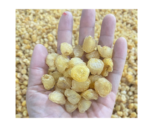 Longan séché doux de haute qualité exportation vietnamienne collation en vrac moelleux sucré longan séché doux fruits tropicaux mûrs meilleure affaire - Product Image 3