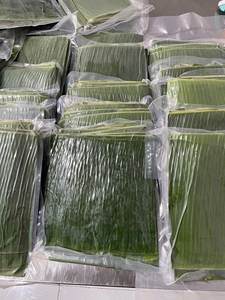 ใบกล้วยแช่แข็งเวียดนาม คุณภาพสูง พร้อมส่งออก - Product Image 3