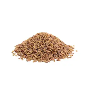 זרעי אלפסת איכות פרמיה-תרופות סאטיבה זרע-אספסת הוכח לעזור להפחית את הכולסטרול