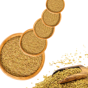 Alfalfa | Cultivo forrajero Premium para rebaños lecheros - Product Image 5